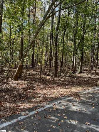 $799,000 | 0 Scurry Island Road, Chappells, SC 29037