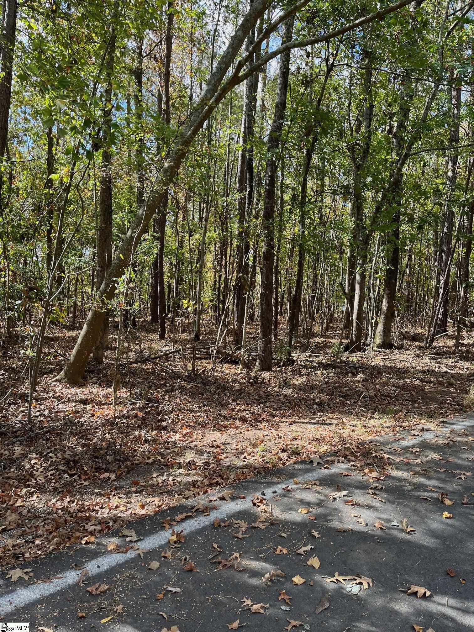 0 Scurry Island Road Chappells, SC 29037 - Photo 11 of 14