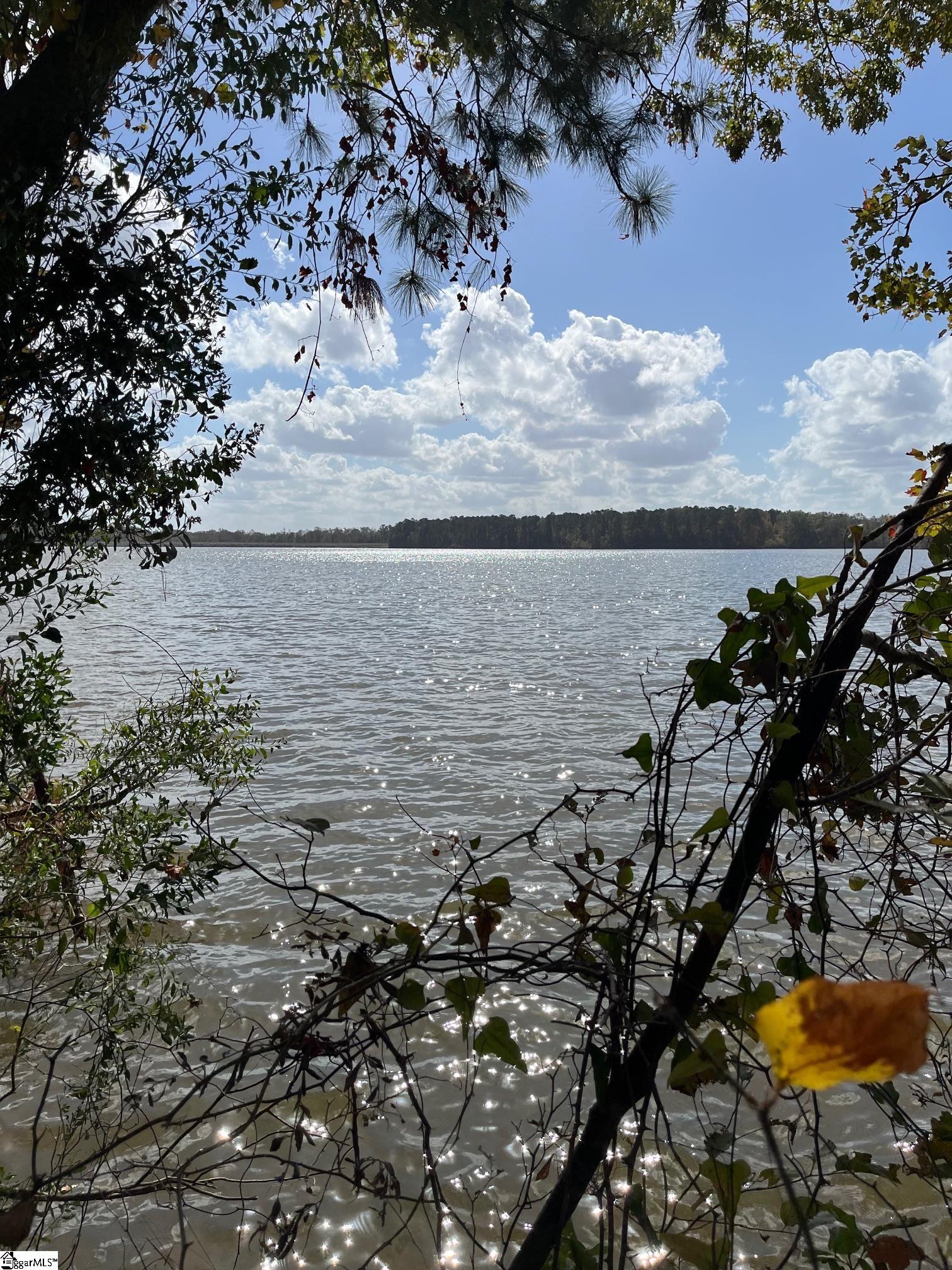 0 Scurry Island Road Chappells, SC 29037 - Photo 5 of 14