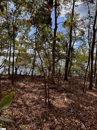 $799,000 | 0 Scurry Island Road, Chappells, SC 29037