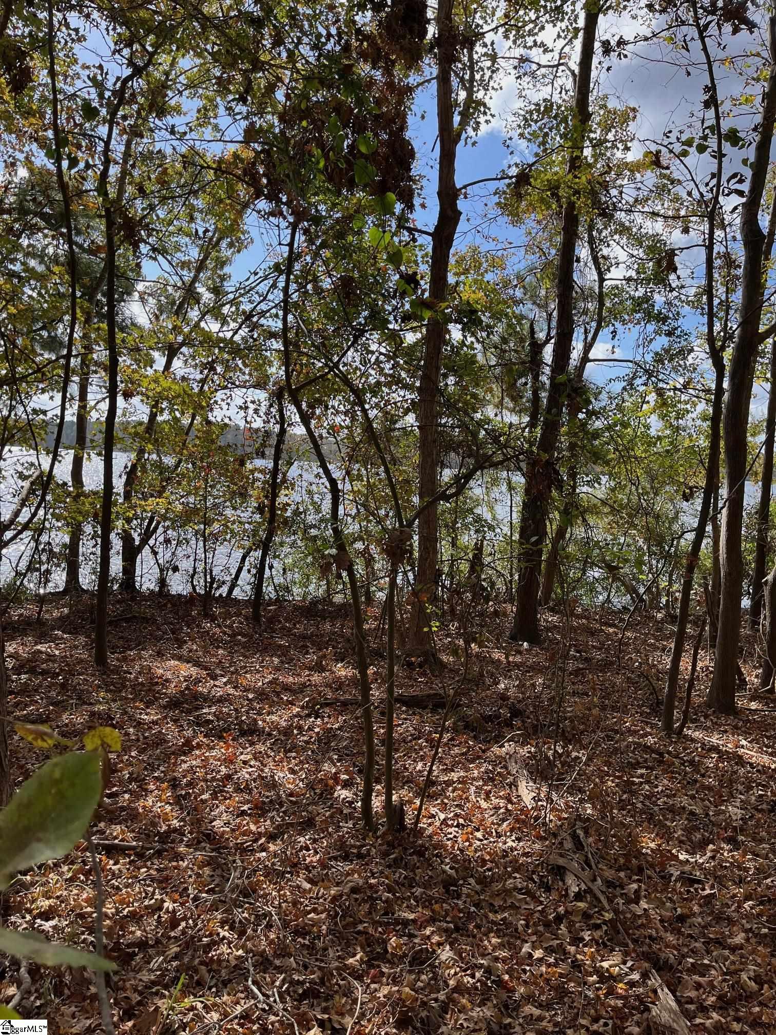 0 Scurry Island Road Chappells, SC 29037 - Photo 10 of 14
