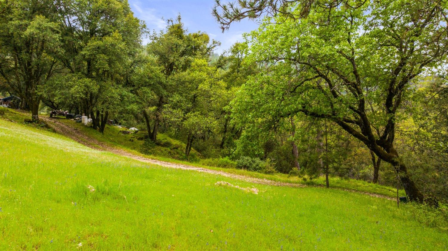 6432 Happy Valley Road Somerset, CA 95684 - Photo 15 of 90
