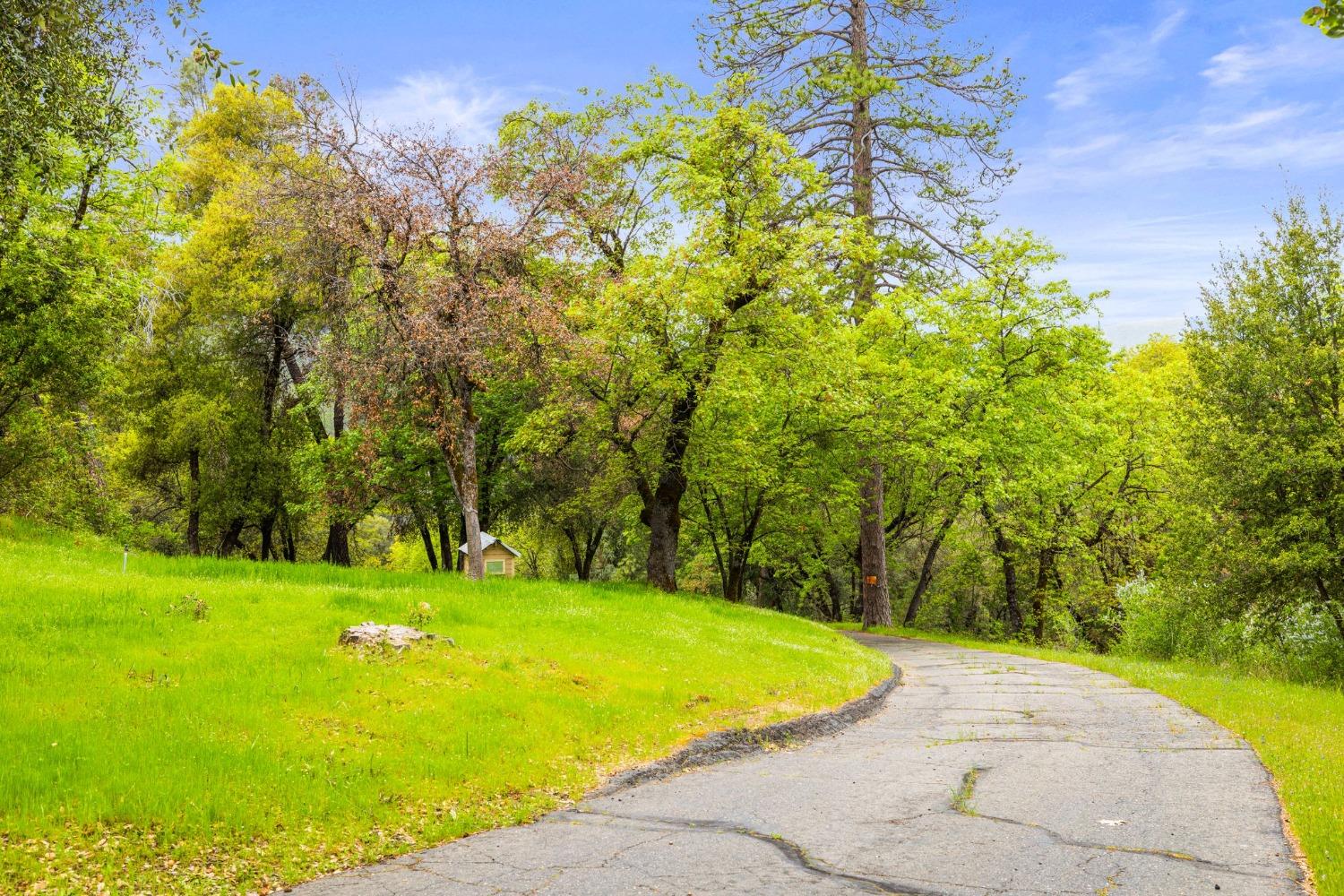 6432 Happy Valley Road Somerset, CA 95684 - Photo 16 of 90