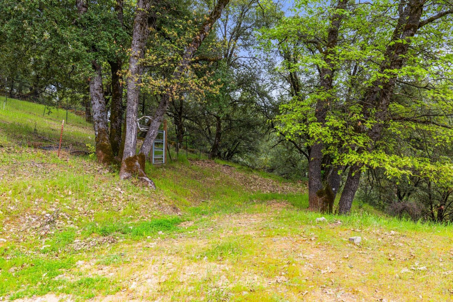 6432 Happy Valley Road Somerset, CA 95684 - Photo 20 of 90