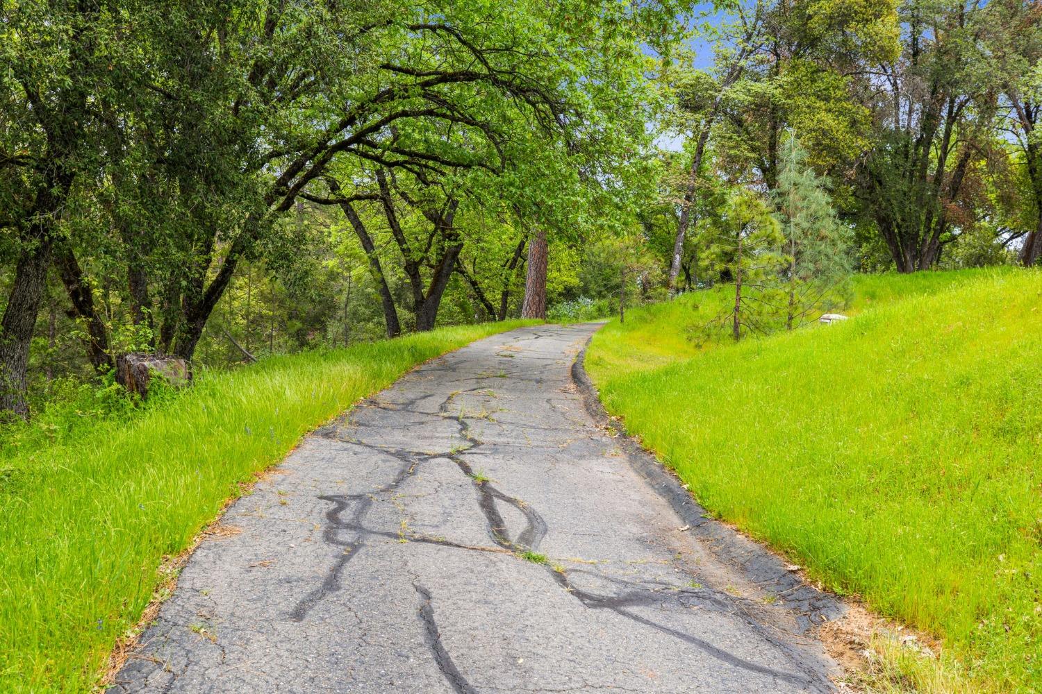 6432 Happy Valley Road Somerset, CA 95684 - Photo 21 of 90 a view of a backyard with swimming pool