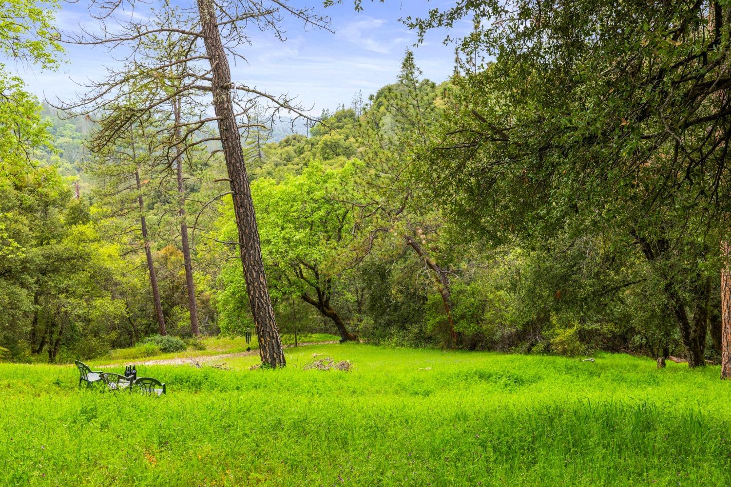 6432 Happy Valley Road Somerset, CA 95684 - Photo 22 of 90