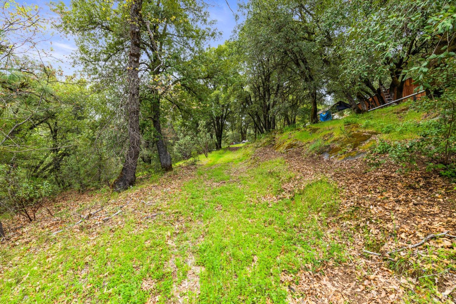 6432 Happy Valley Road Somerset, CA 95684 - Photo 23 of 90 a backyard of a house with lots of green space