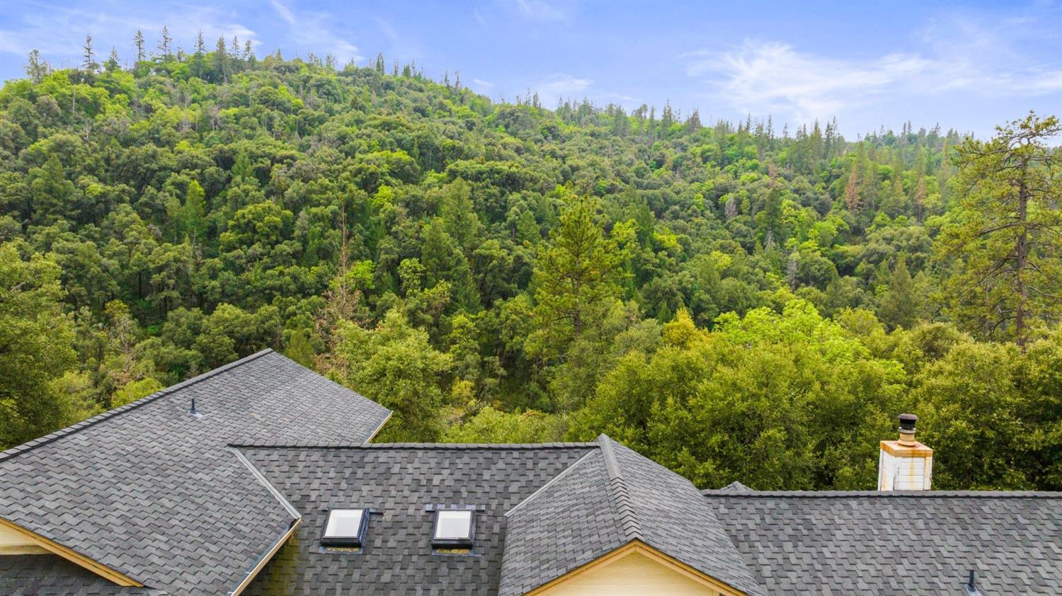 6432 Happy Valley Road Somerset, CA 95684 - Photo 72 of 90 an aerial view of a house with a yard