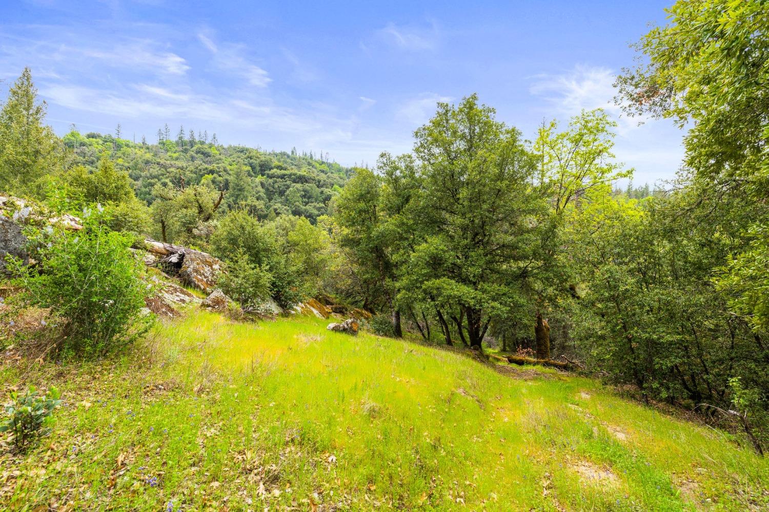 6432 Happy Valley Road Somerset, CA 95684 - Photo 77 of 90