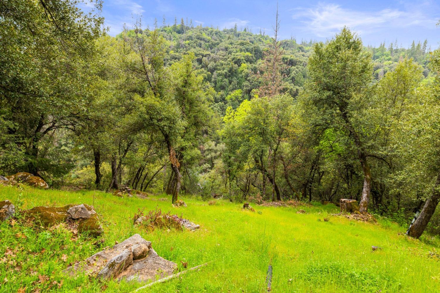 6432 Happy Valley Road Somerset, CA 95684 - Photo 79 of 90