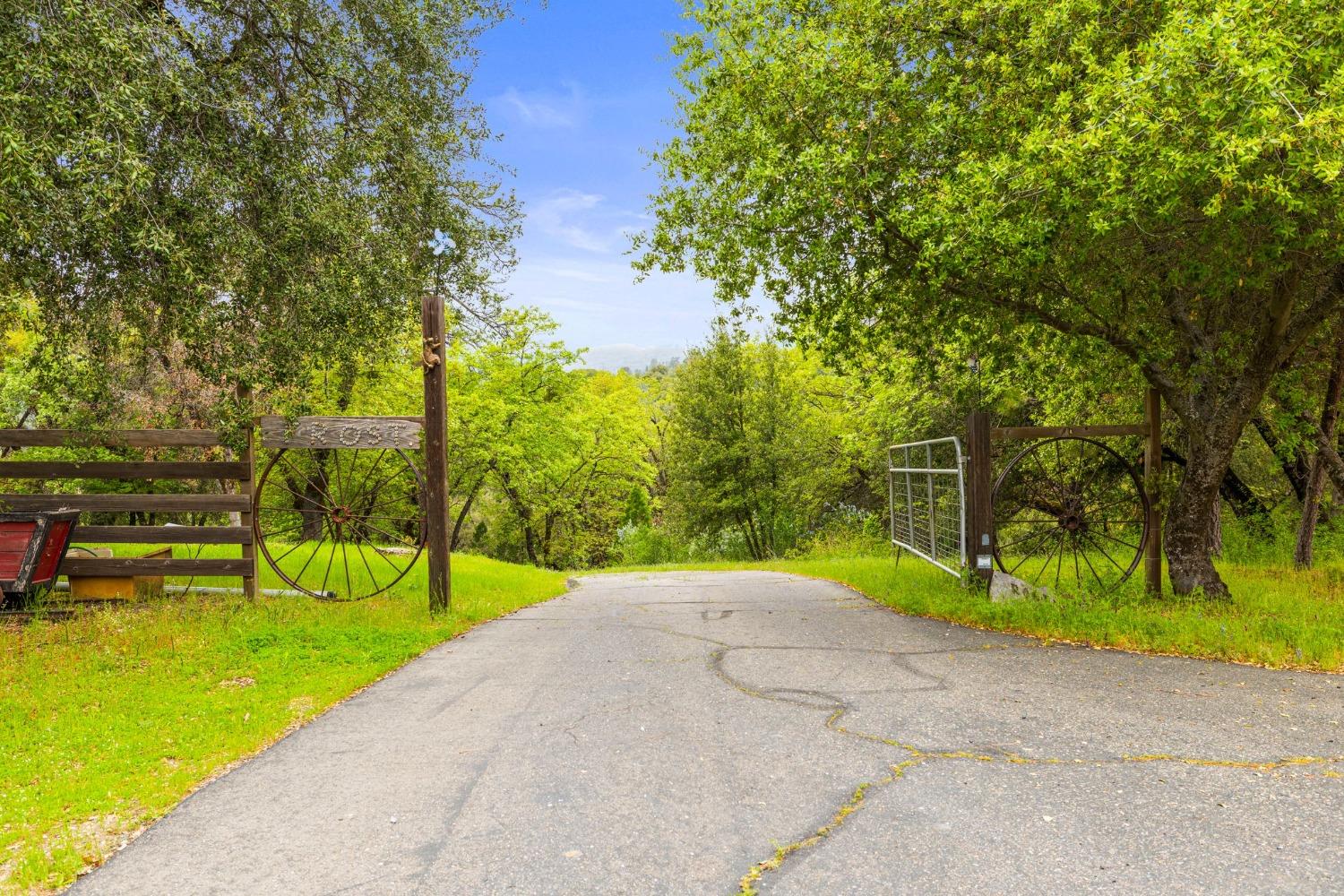 6432 Happy Valley Road Somerset, CA 95684 - Photo 9 of 90 a view of a park with a tree
