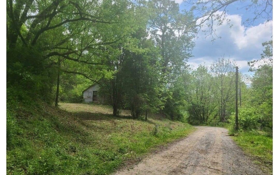 800 Marion Adams Road Murphy, NC 28906 - Photo 1 of 3 a view of a yard with a trees