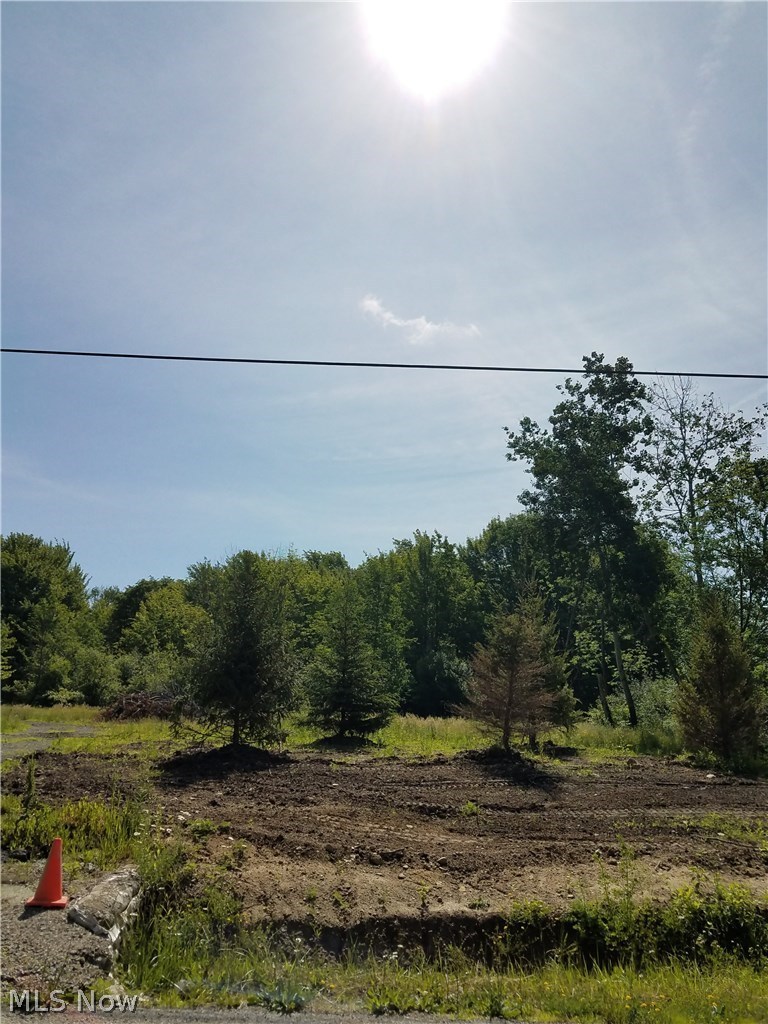 Sumner Road Thompson, OH 44086 - Photo 23 of 24