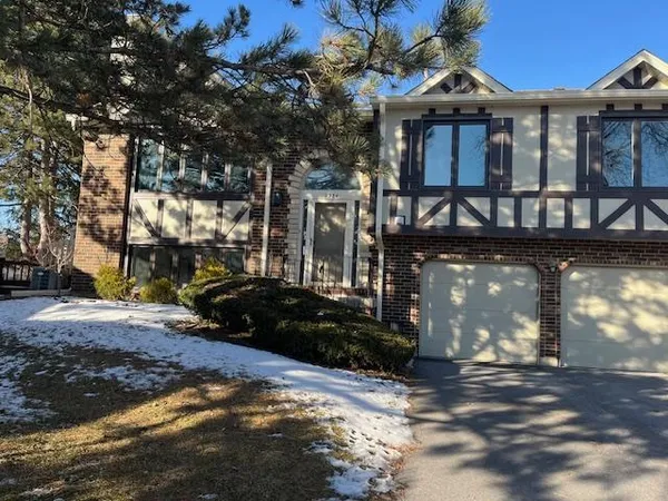 $2,500 | 9334 Drummond Drive, Unit 9334, Tinley Park, IL 60487