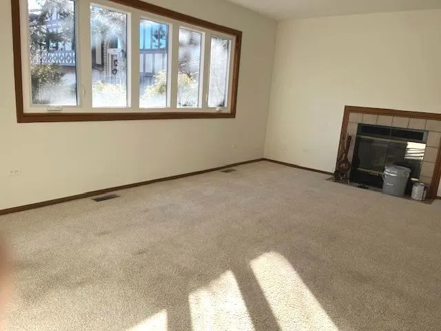 $2,500 | 9334 Drummond Drive, Unit 9334, Tinley Park, IL 60487