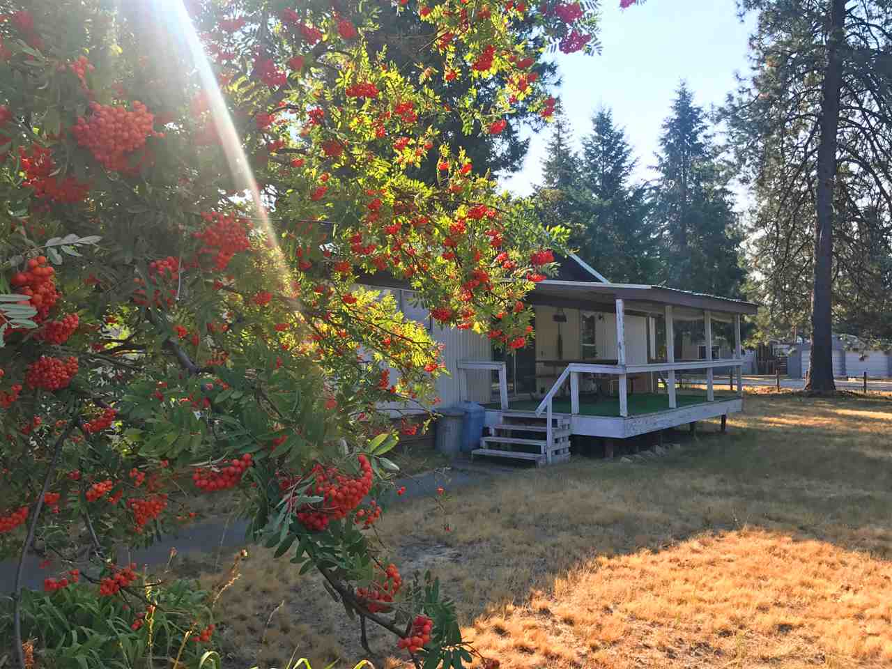 40445 Westline Road Loon Lake, WA 99148 - Photo 11 of 13 Gallery Image 11