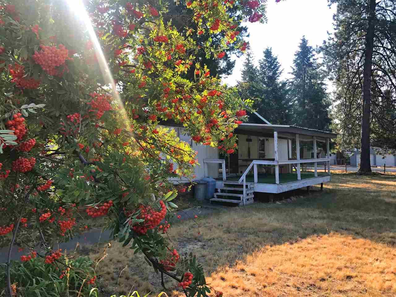 40445 Westline Road Loon Lake, WA 99148 - Photo 12 of 13 Gallery Image 12