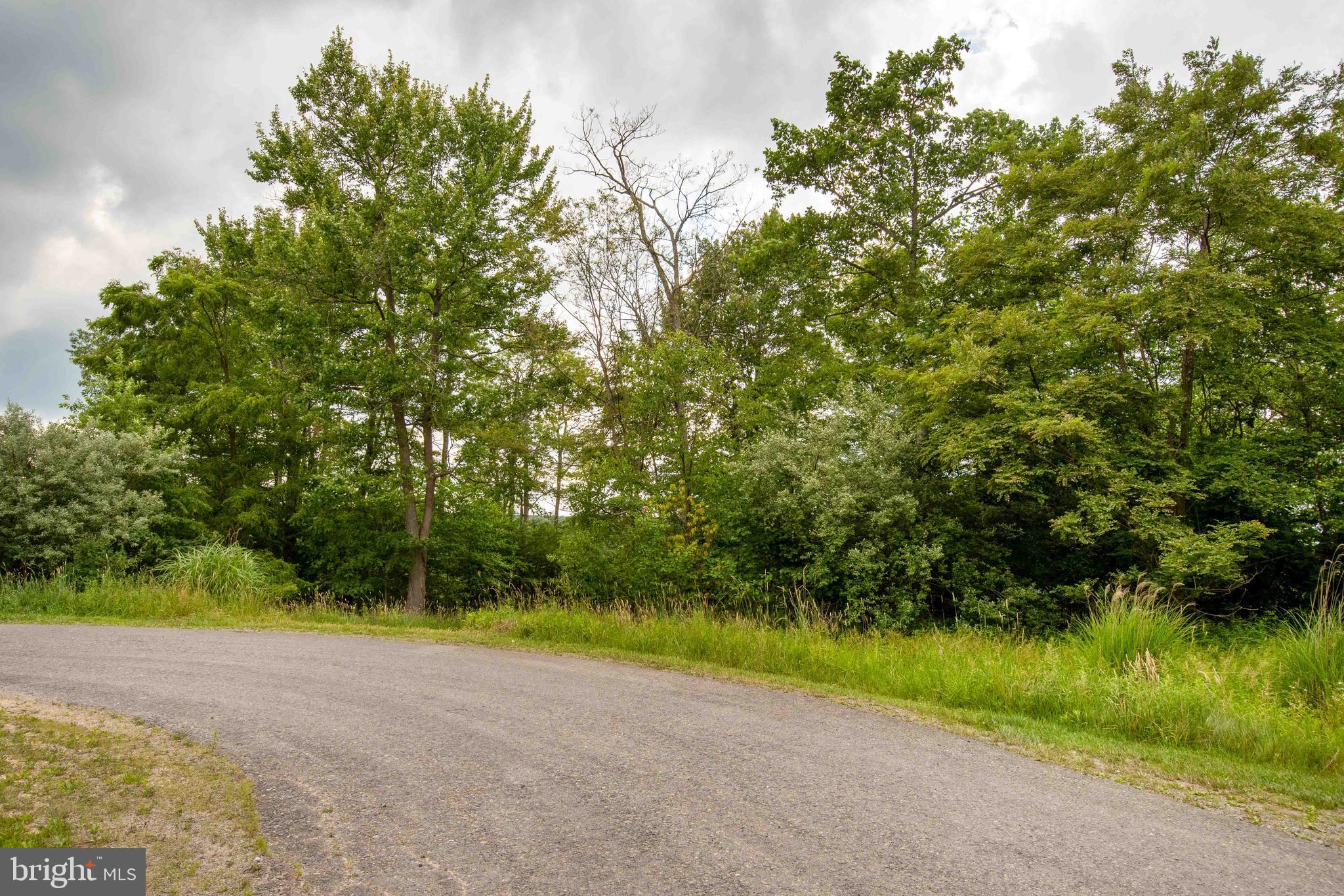 Lot 87 Lower Camp Road McHenry, MD 21541 - Photo 10 of 12