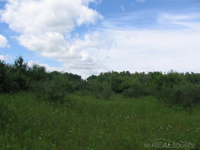 Tbd Burns Line Croswell, MI 48422 - Photo 2 of 19