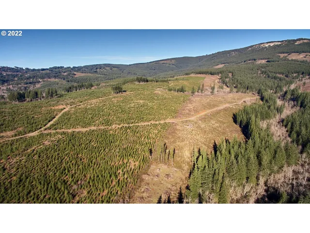 $589,500 | 4 Northeast Jones Road, Camas, WA 98607