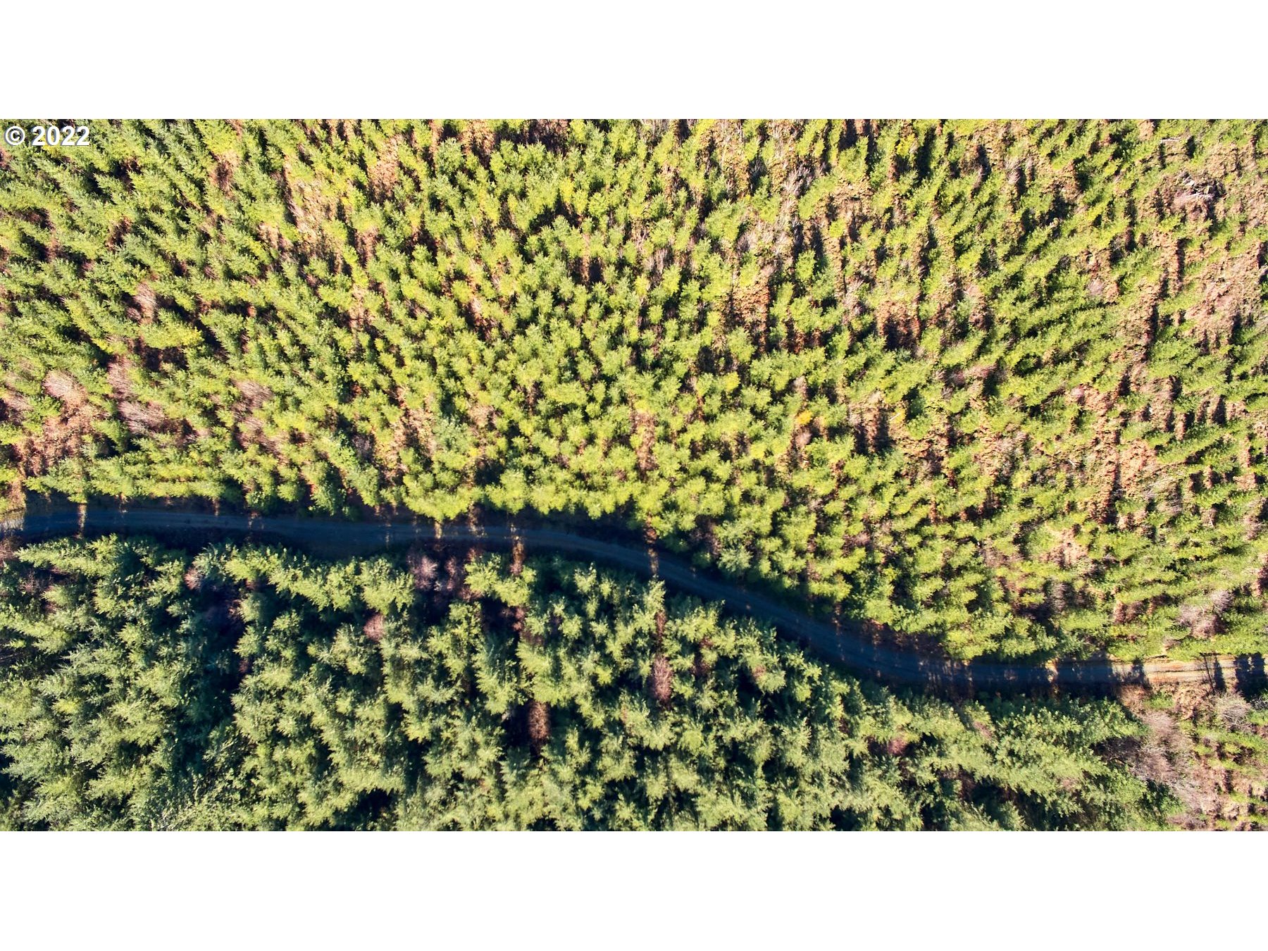 4 Northeast Jones Road Camas, WA 98607 - Photo 11 of 29