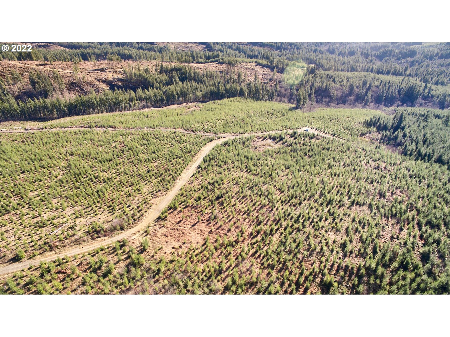 4 Northeast Jones Road Camas, WA 98607 - Photo 12 of 29