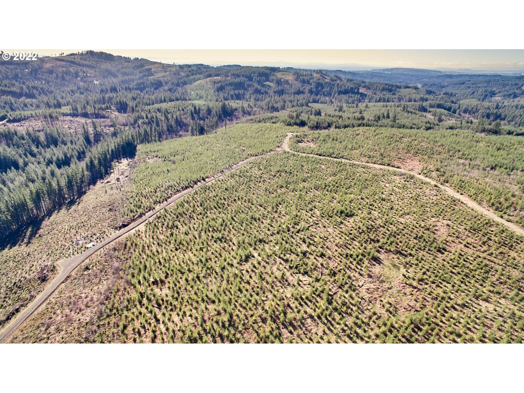 4 Northeast Jones Road Camas, WA 98607 - Photo 13 of 29