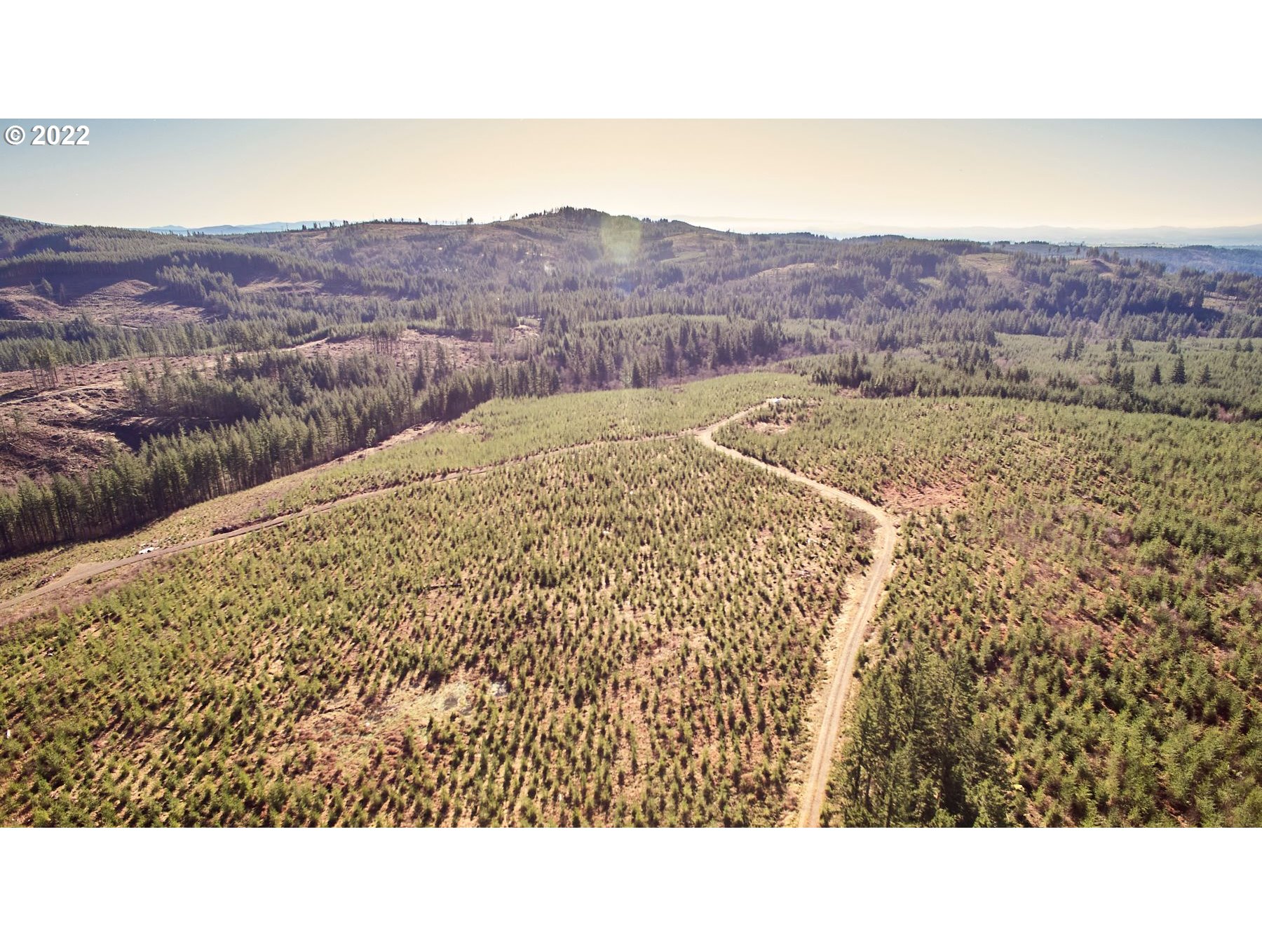 4 Northeast Jones Road Camas, WA 98607 - Photo 14 of 29