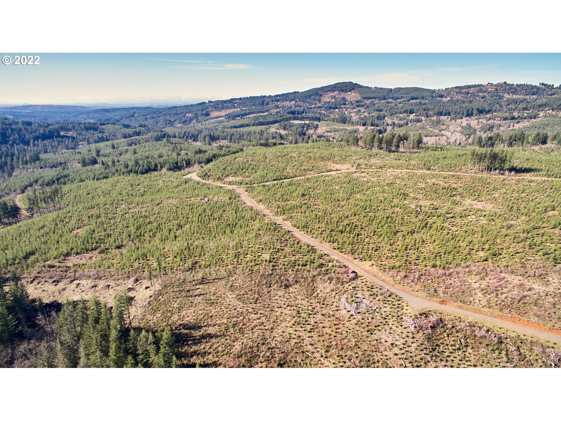 4 Northeast Jones Road Camas, WA 98607 - Photo 15 of 29