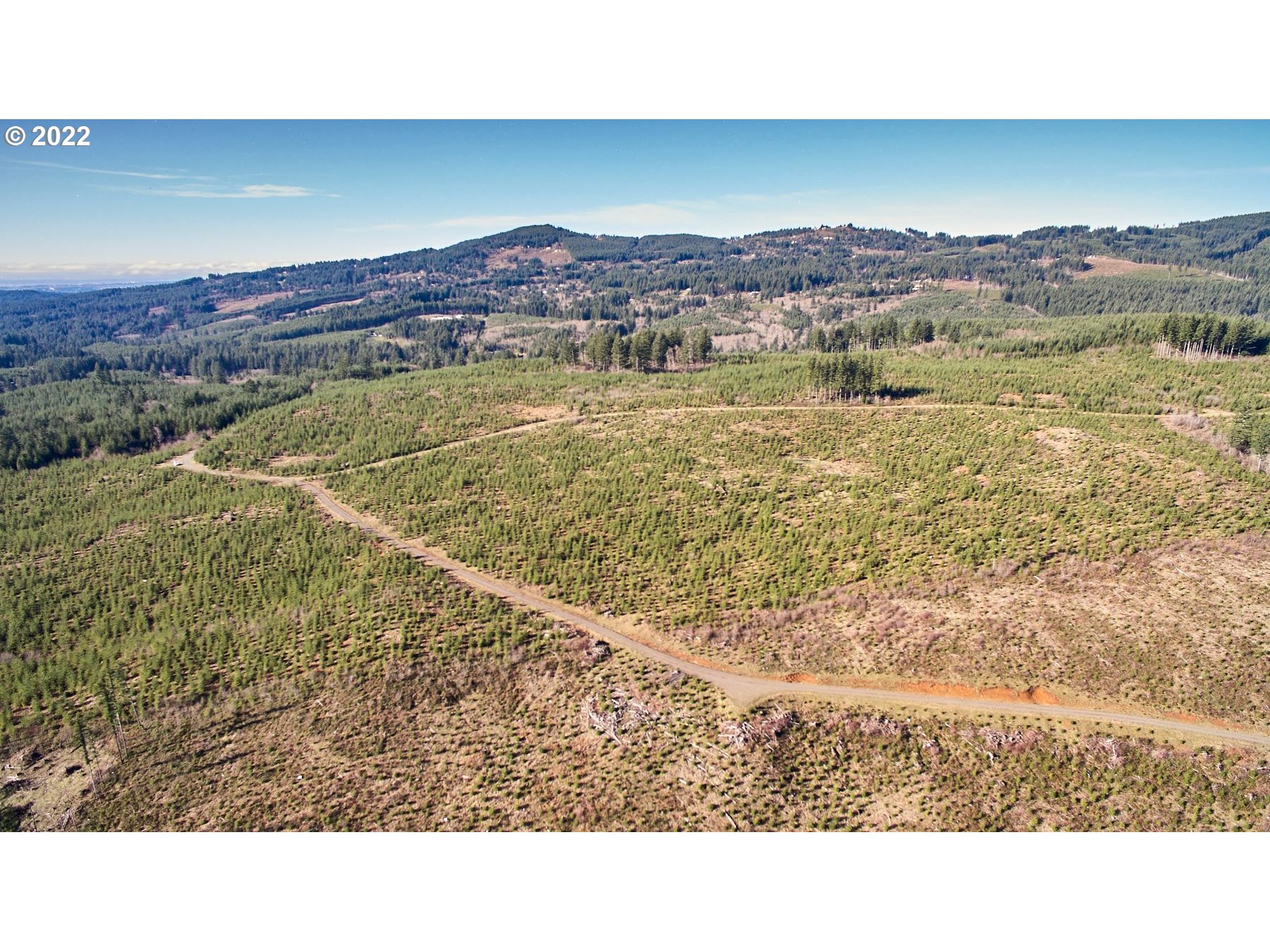 4 Northeast Jones Road Camas, WA 98607 - Photo 16 of 29