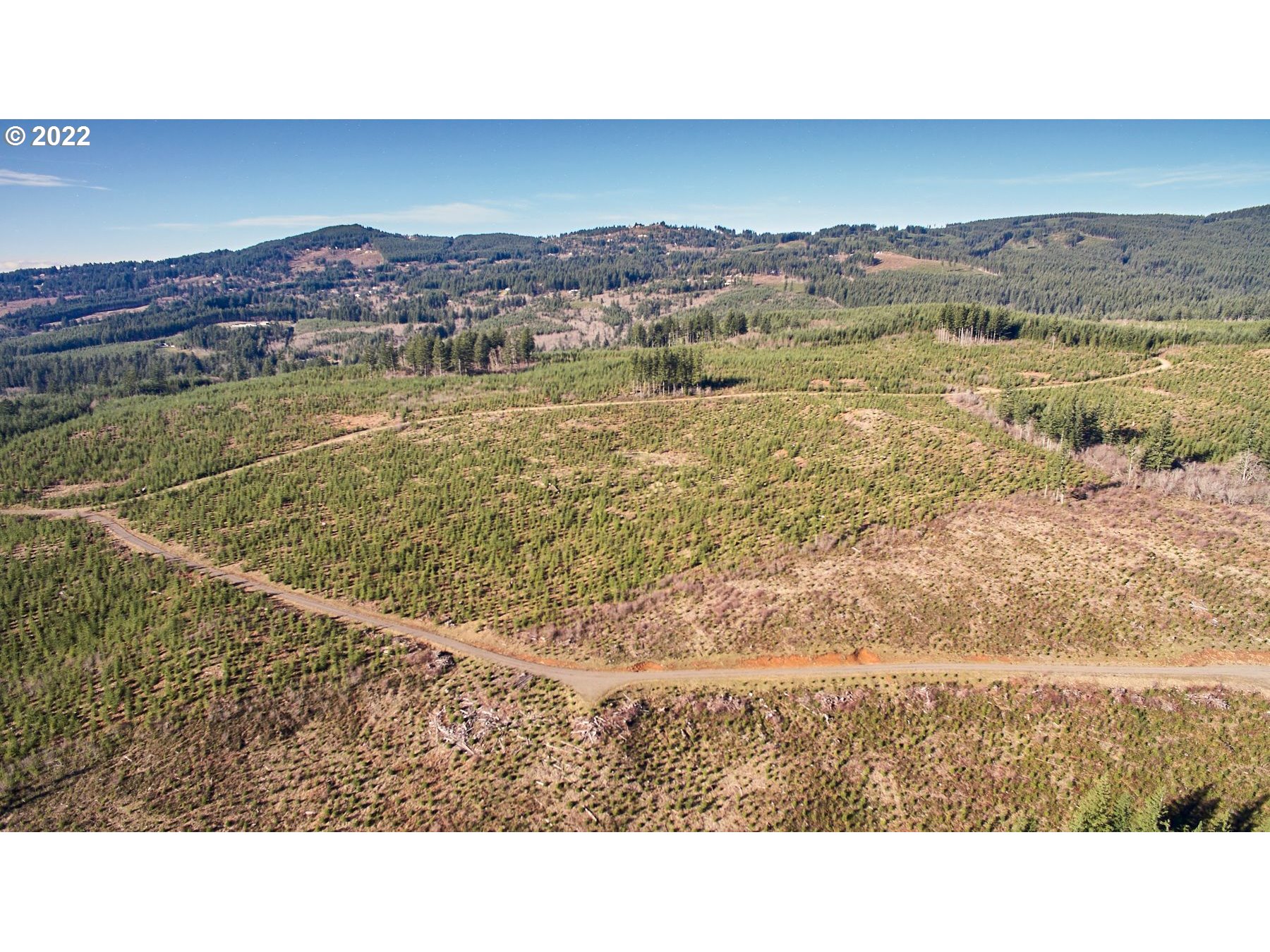 4 Northeast Jones Road Camas, WA 98607 - Photo 17 of 29