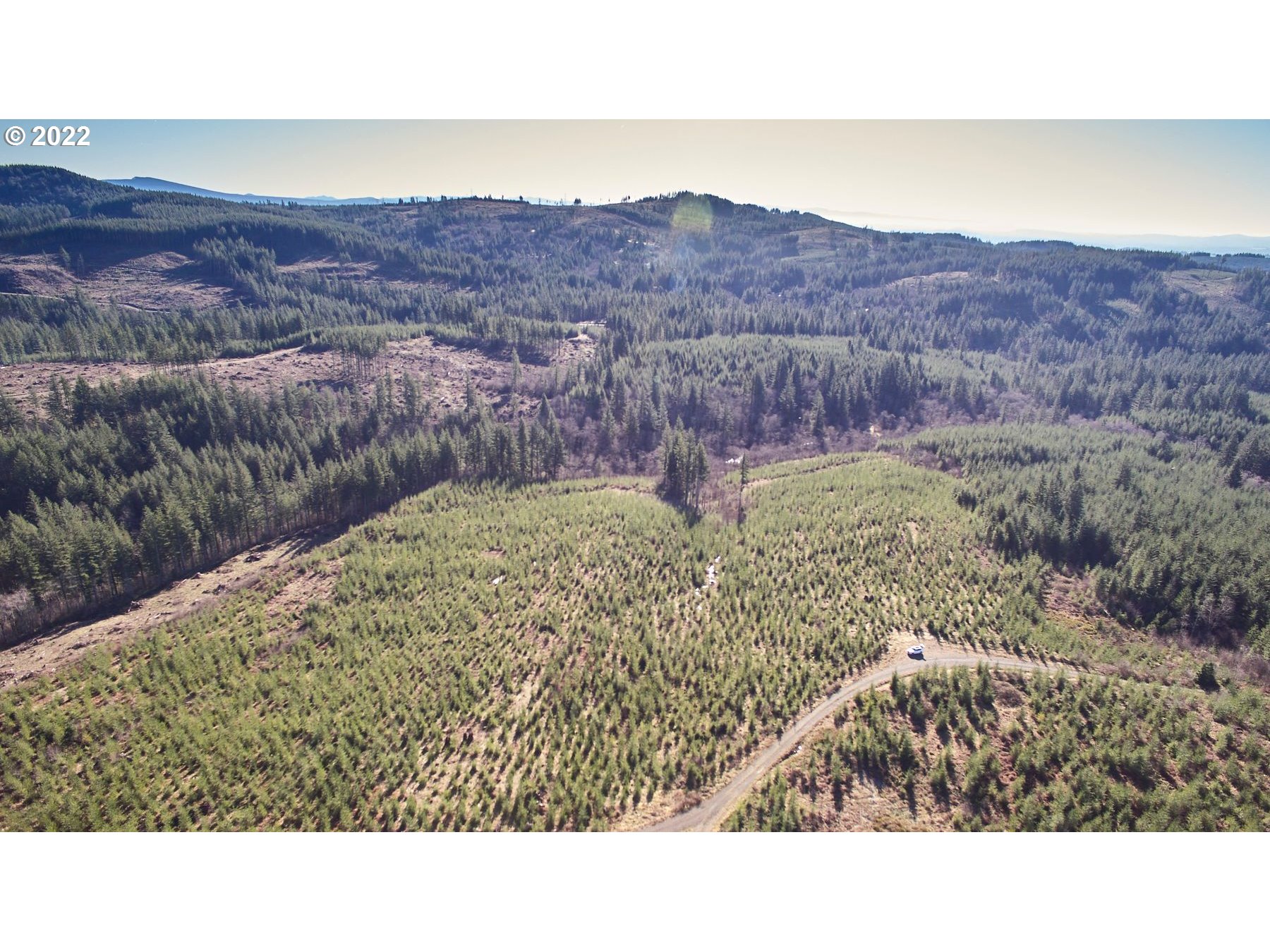 4 Northeast Jones Road Camas, WA 98607 - Photo 18 of 29