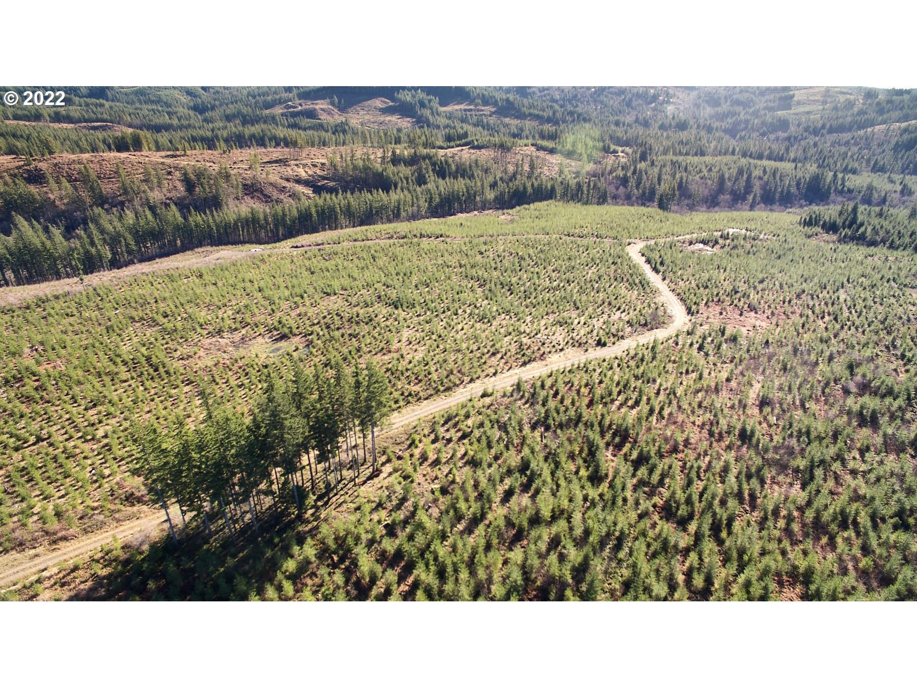 4 Northeast Jones Road Camas, WA 98607 - Photo 21 of 29