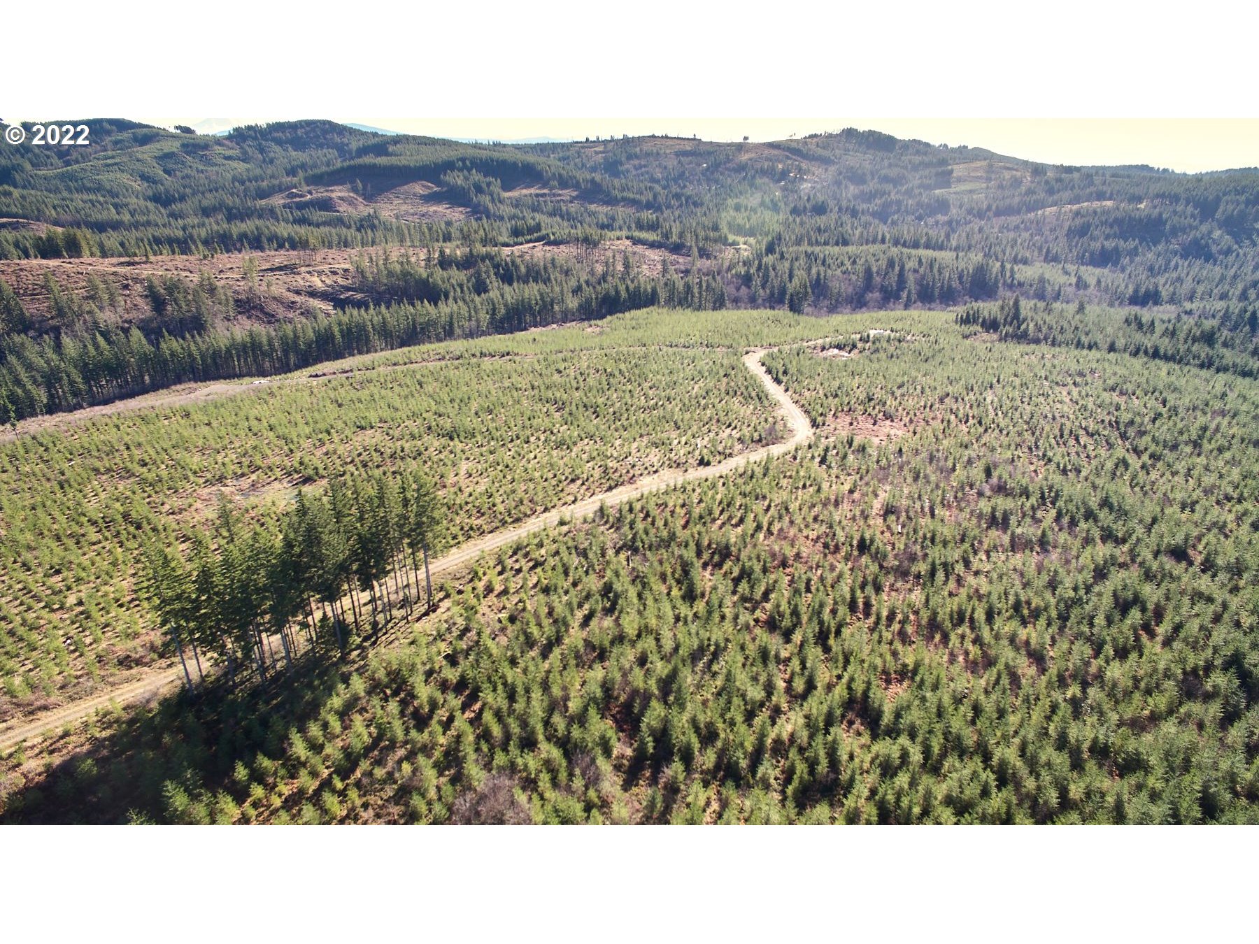 4 Northeast Jones Road Camas, WA 98607 - Photo 22 of 29