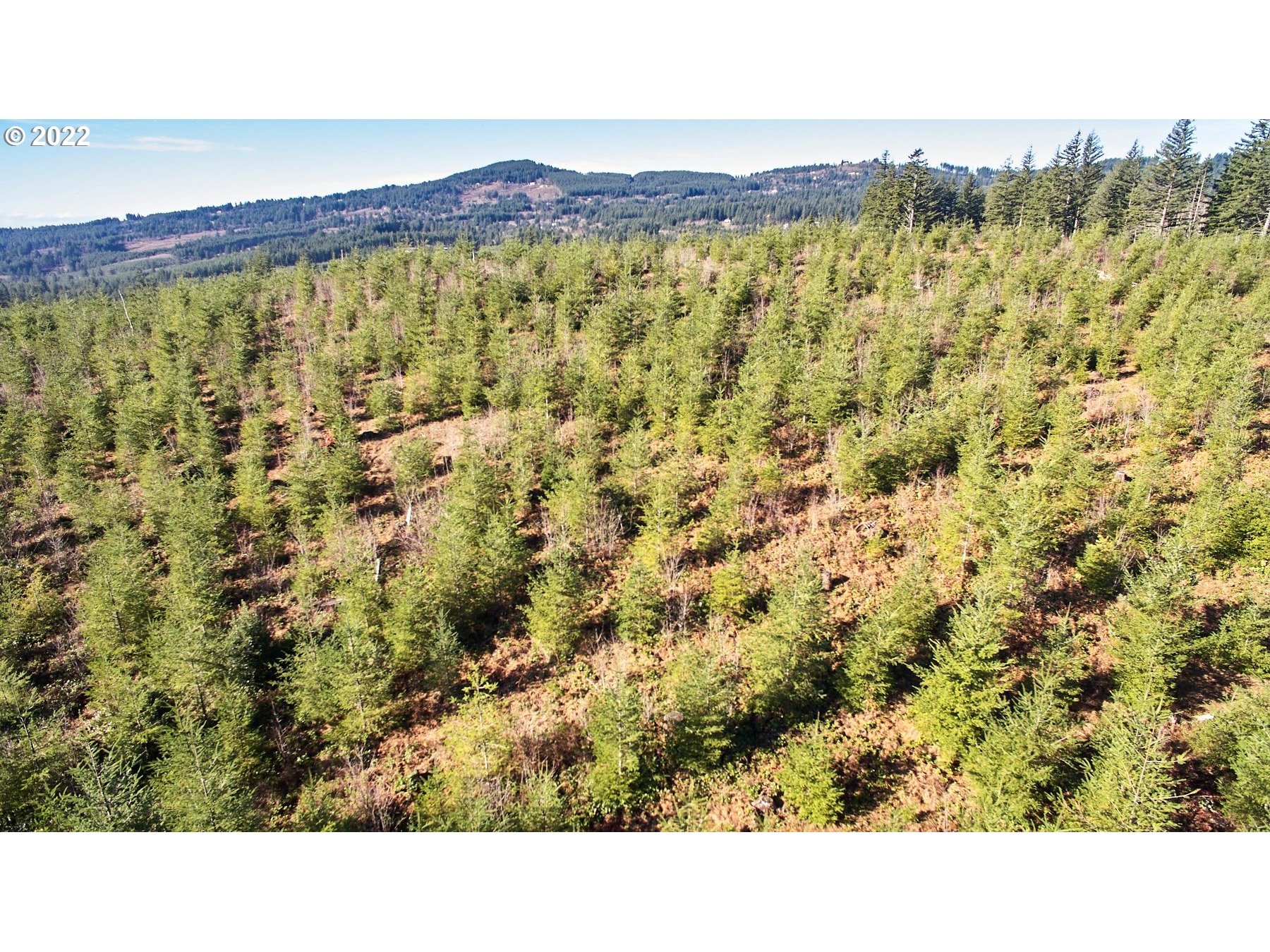 4 Northeast Jones Road Camas, WA 98607 - Photo 23 of 29