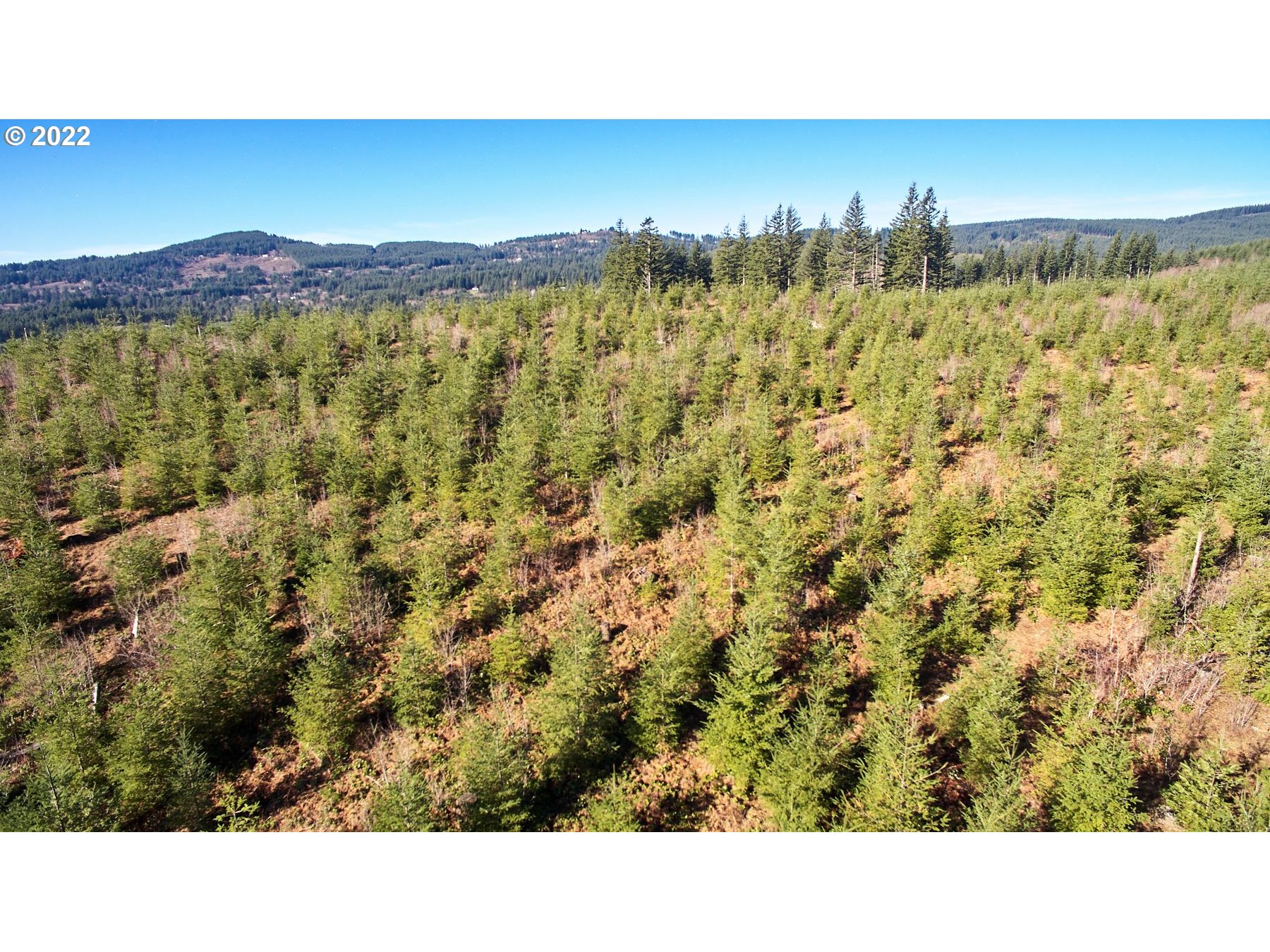 4 Northeast Jones Road Camas, WA 98607 - Photo 24 of 29