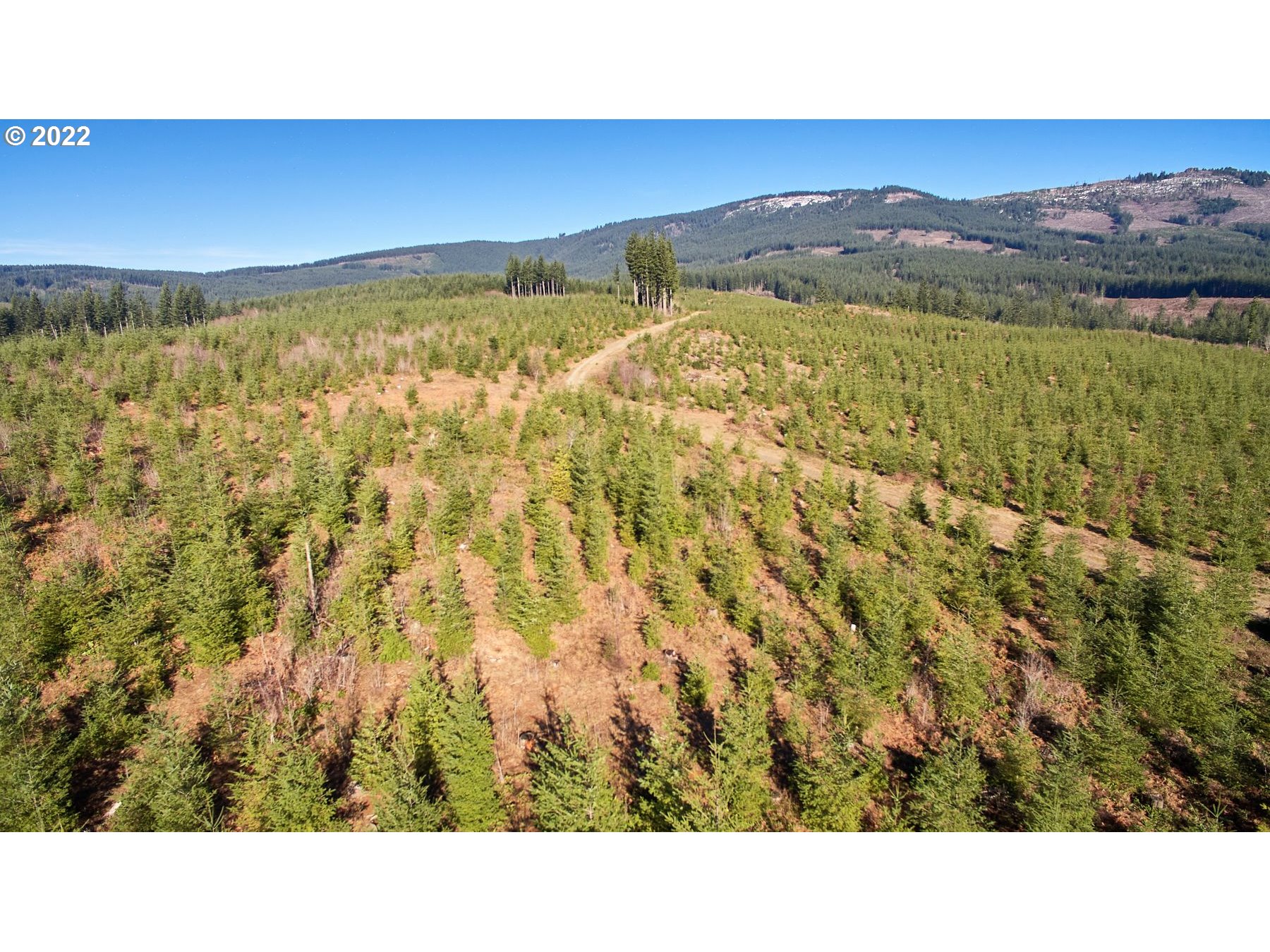 4 Northeast Jones Road Camas, WA 98607 - Photo 25 of 29