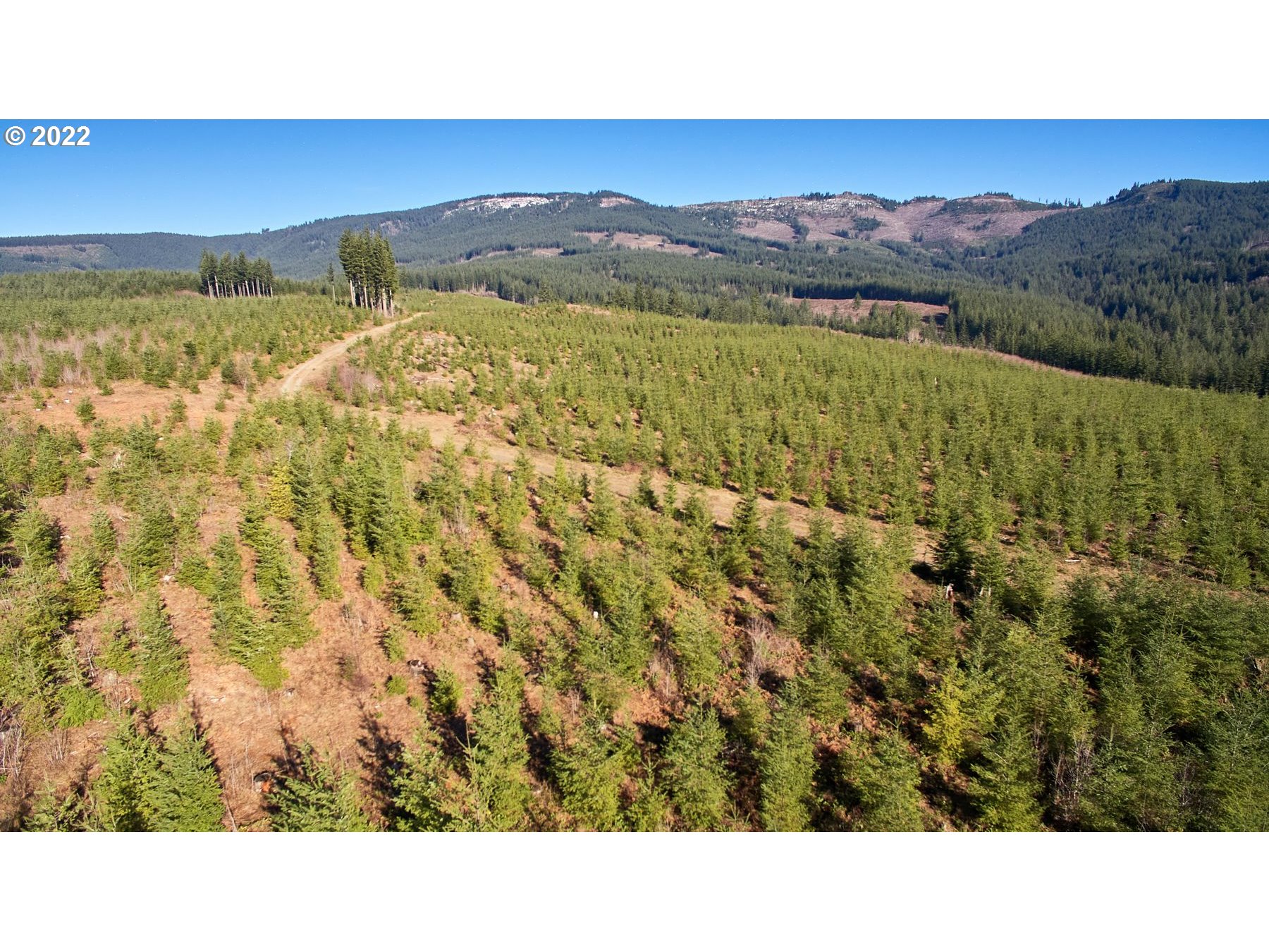 4 Northeast Jones Road Camas, WA 98607 - Photo 26 of 29