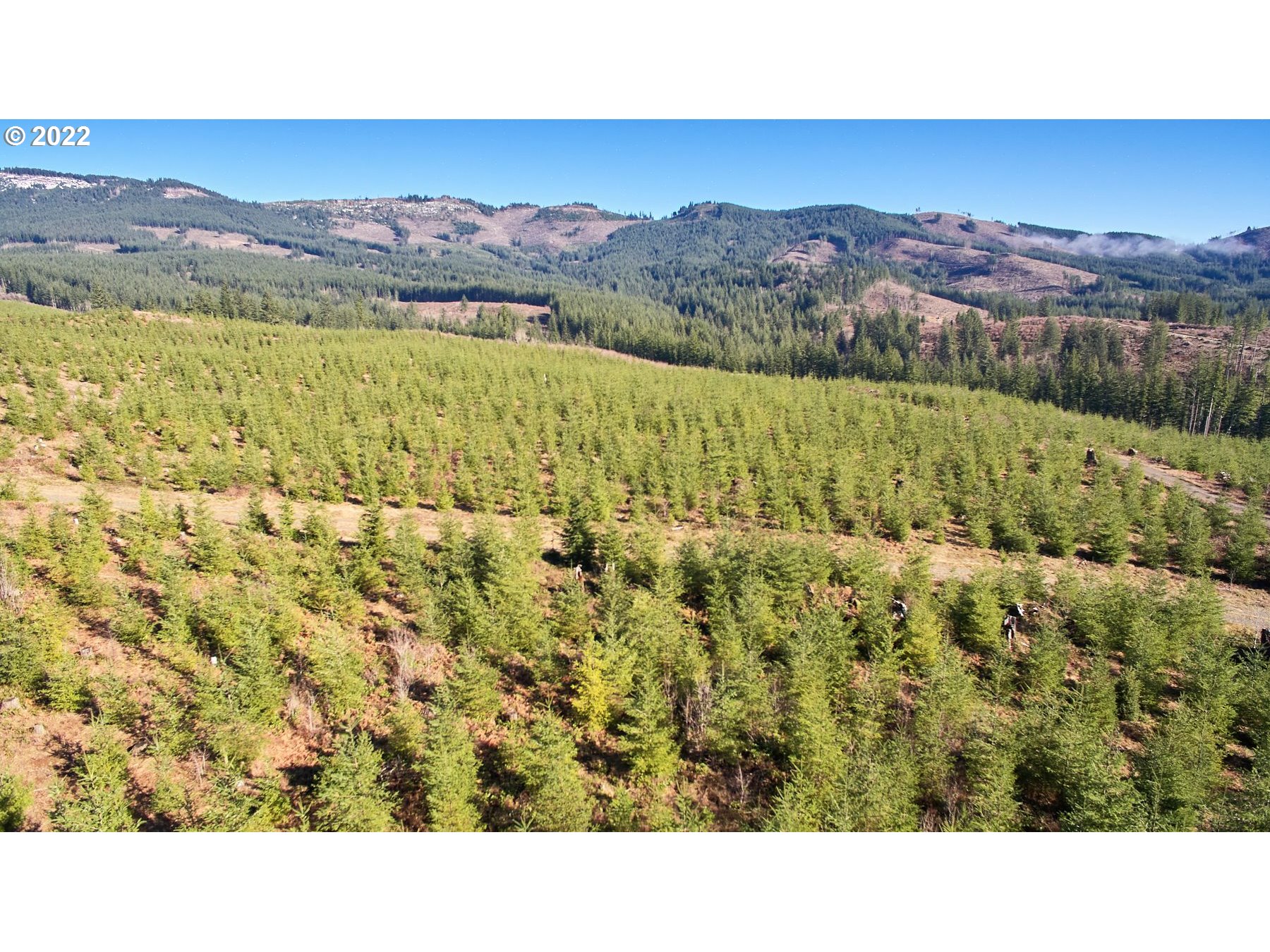 4 Northeast Jones Road Camas, WA 98607 - Photo 27 of 29