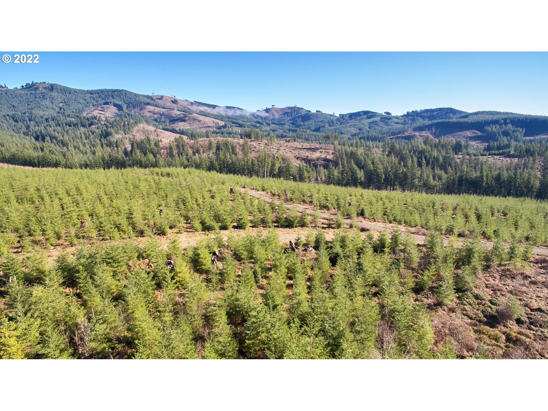 4 Northeast Jones Road Camas, WA 98607 - Photo 28 of 29