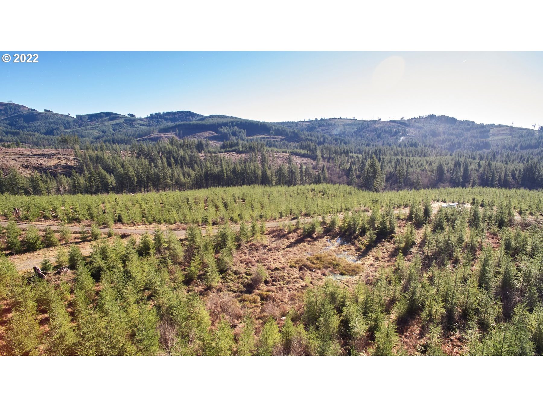 4 Northeast Jones Road Camas, WA 98607 - Photo 29 of 29