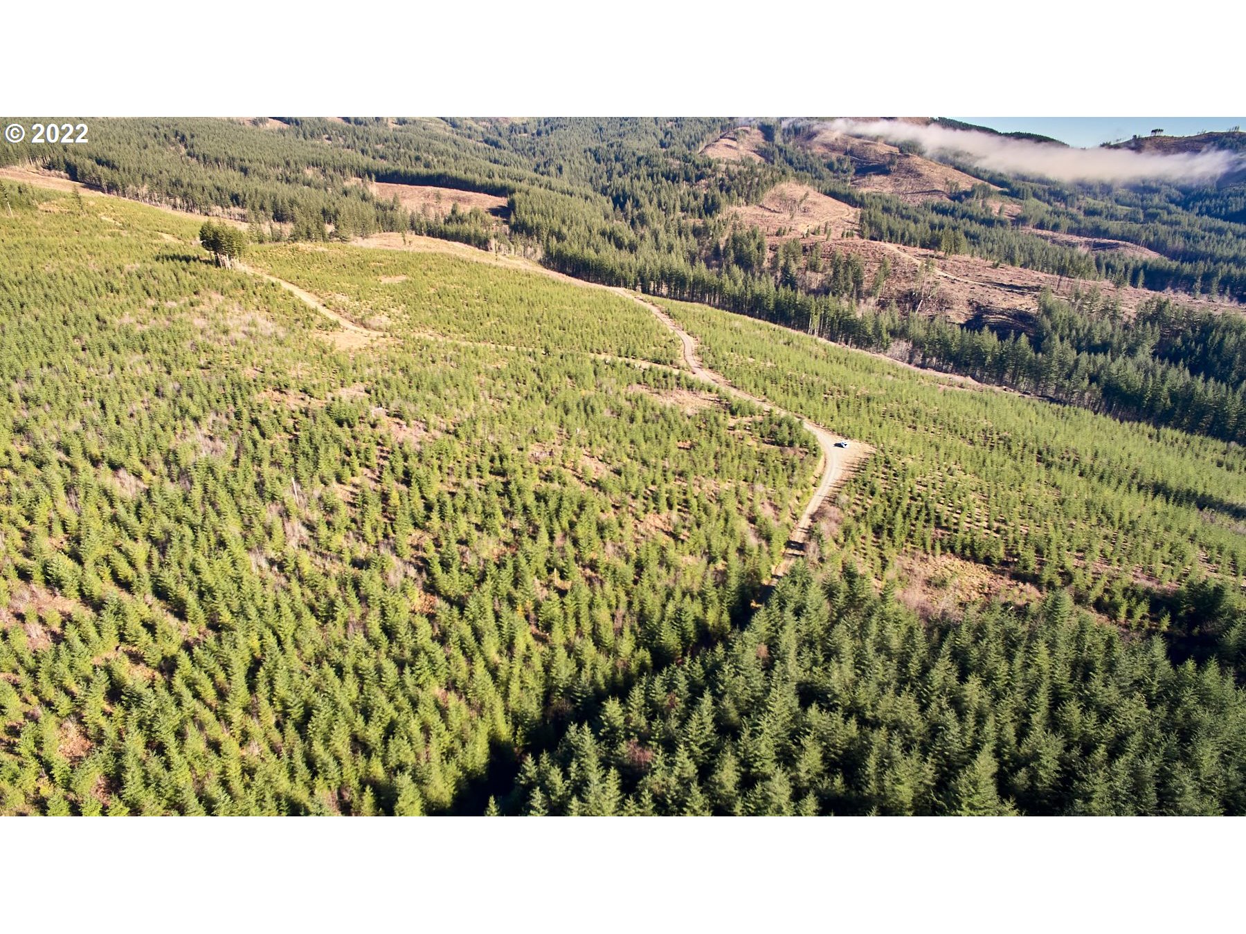 4 Northeast Jones Road Camas, WA 98607 - Photo 3 of 29