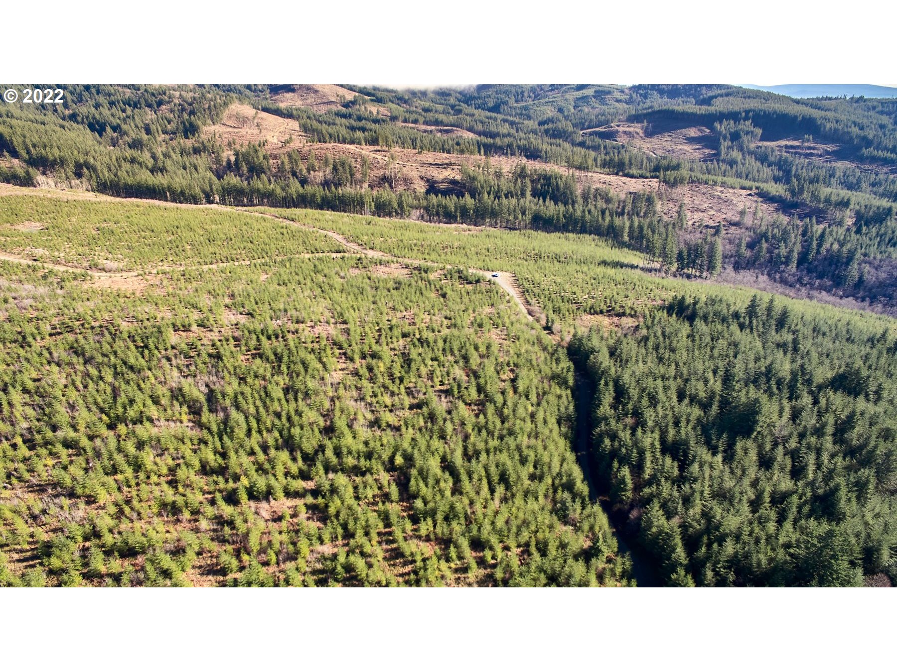 4 Northeast Jones Road Camas, WA 98607 - Photo 4 of 29