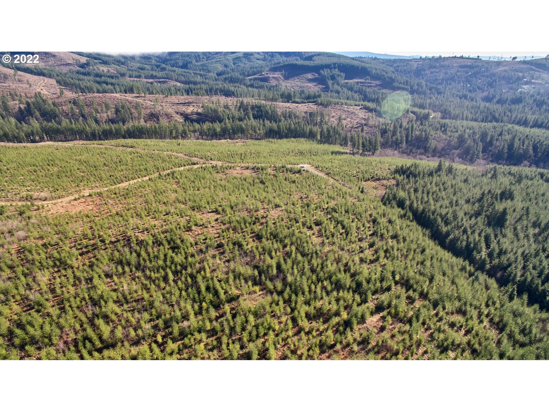 4 Northeast Jones Road Camas, WA 98607 - Photo 5 of 29