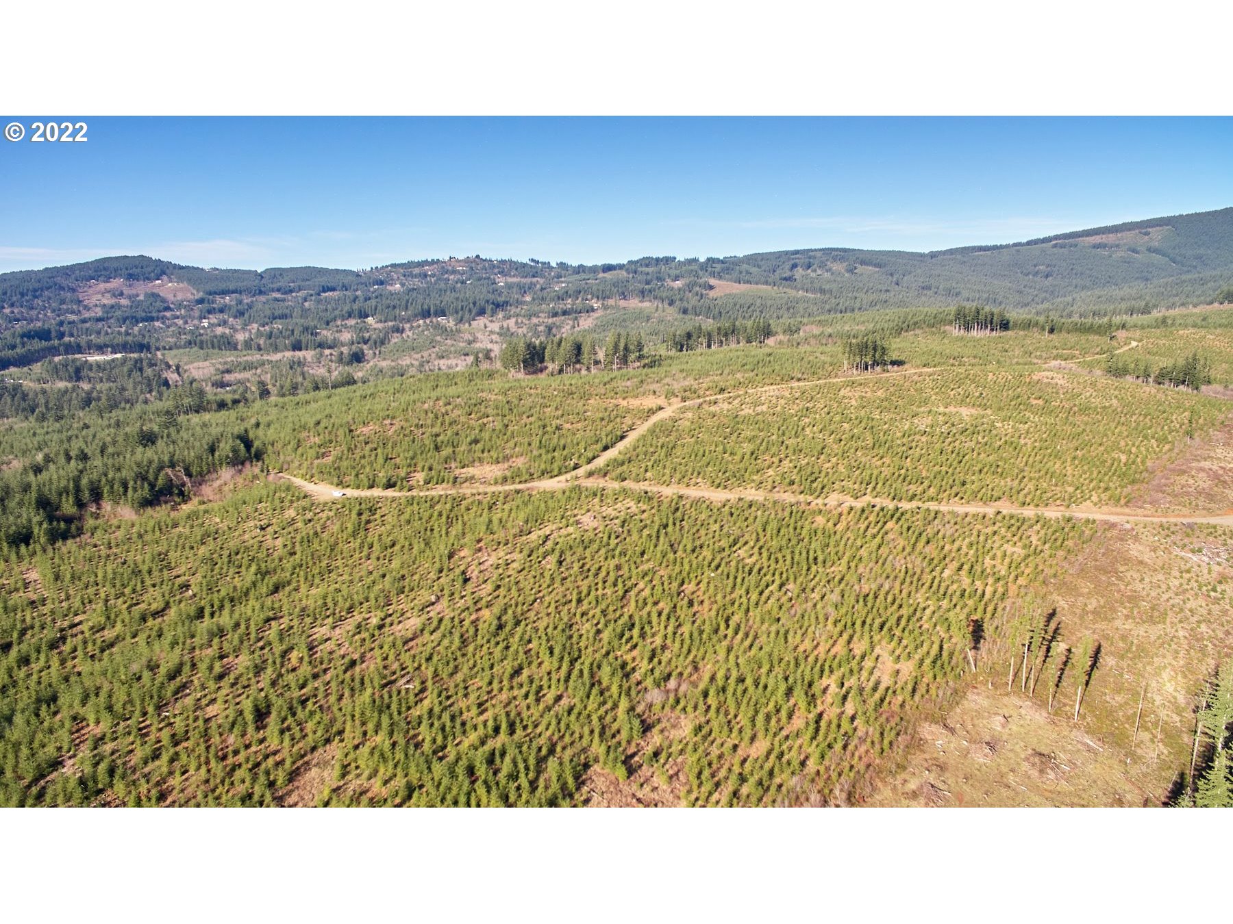 4 Northeast Jones Road Camas, WA 98607 - Photo 6 of 29