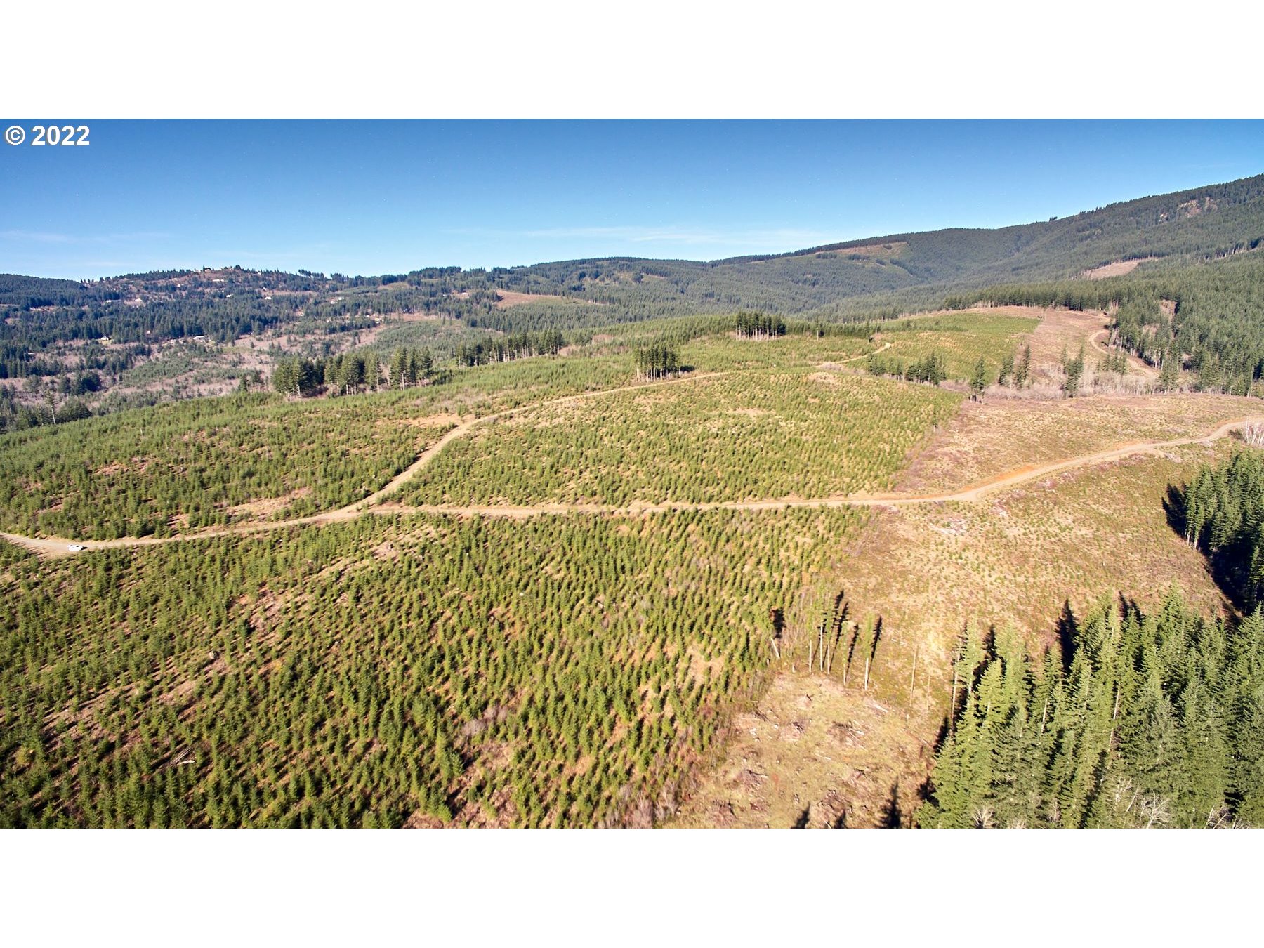 4 Northeast Jones Road Camas, WA 98607 - Photo 7 of 29