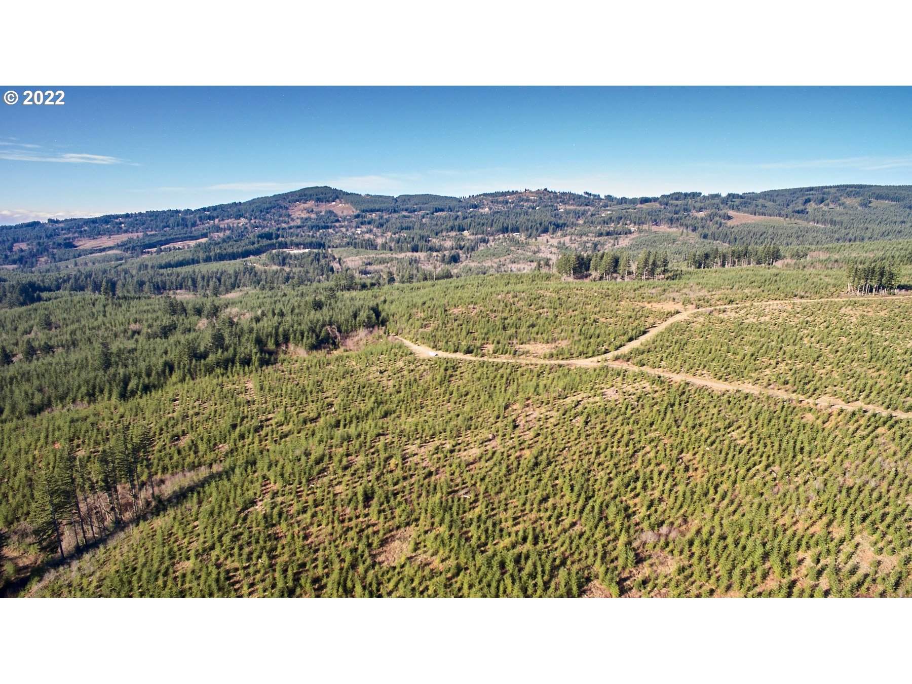 4 Northeast Jones Road Camas, WA 98607 - Photo 8 of 29