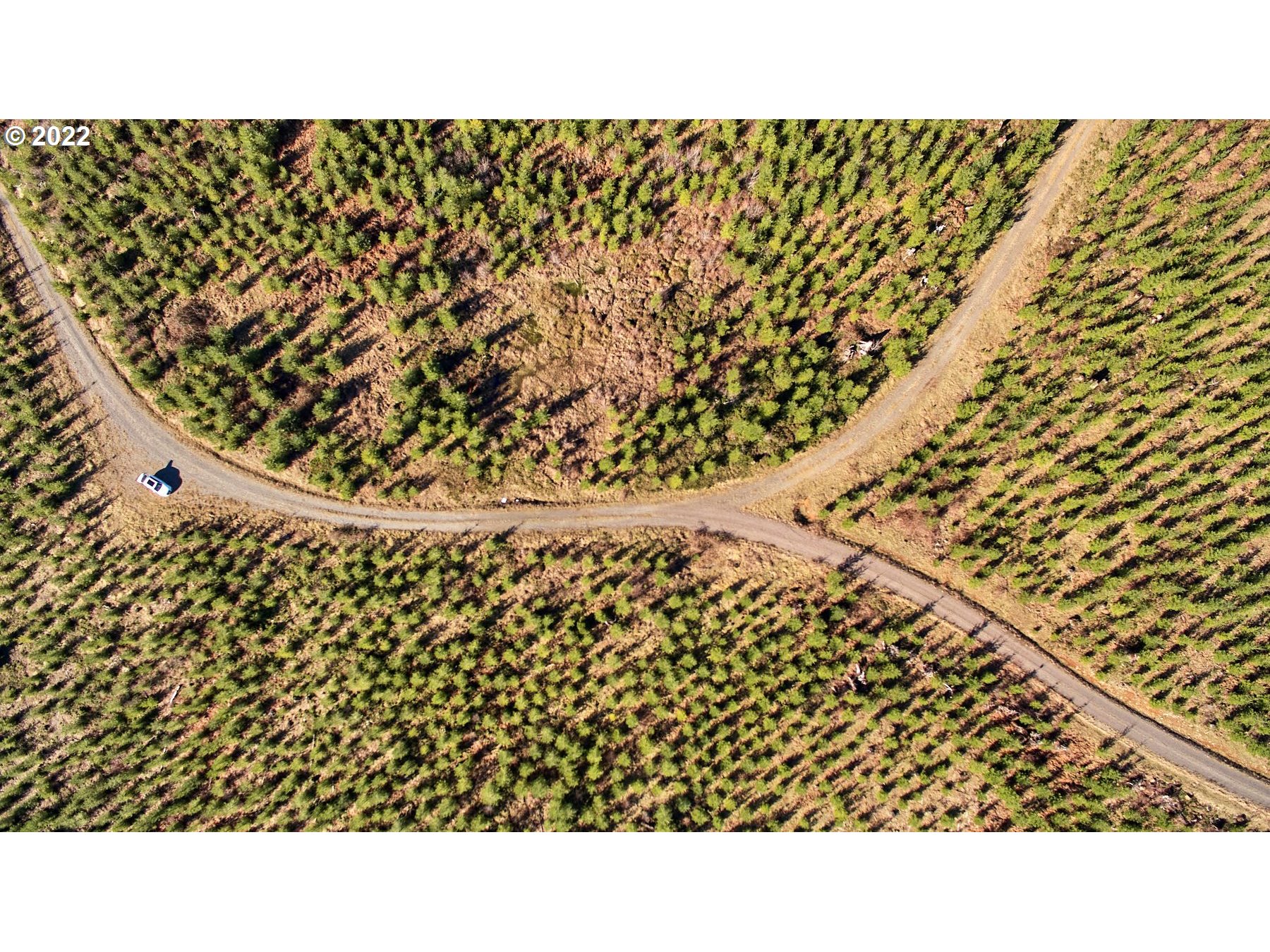 4 Northeast Jones Road Camas, WA 98607 - Photo 9 of 29