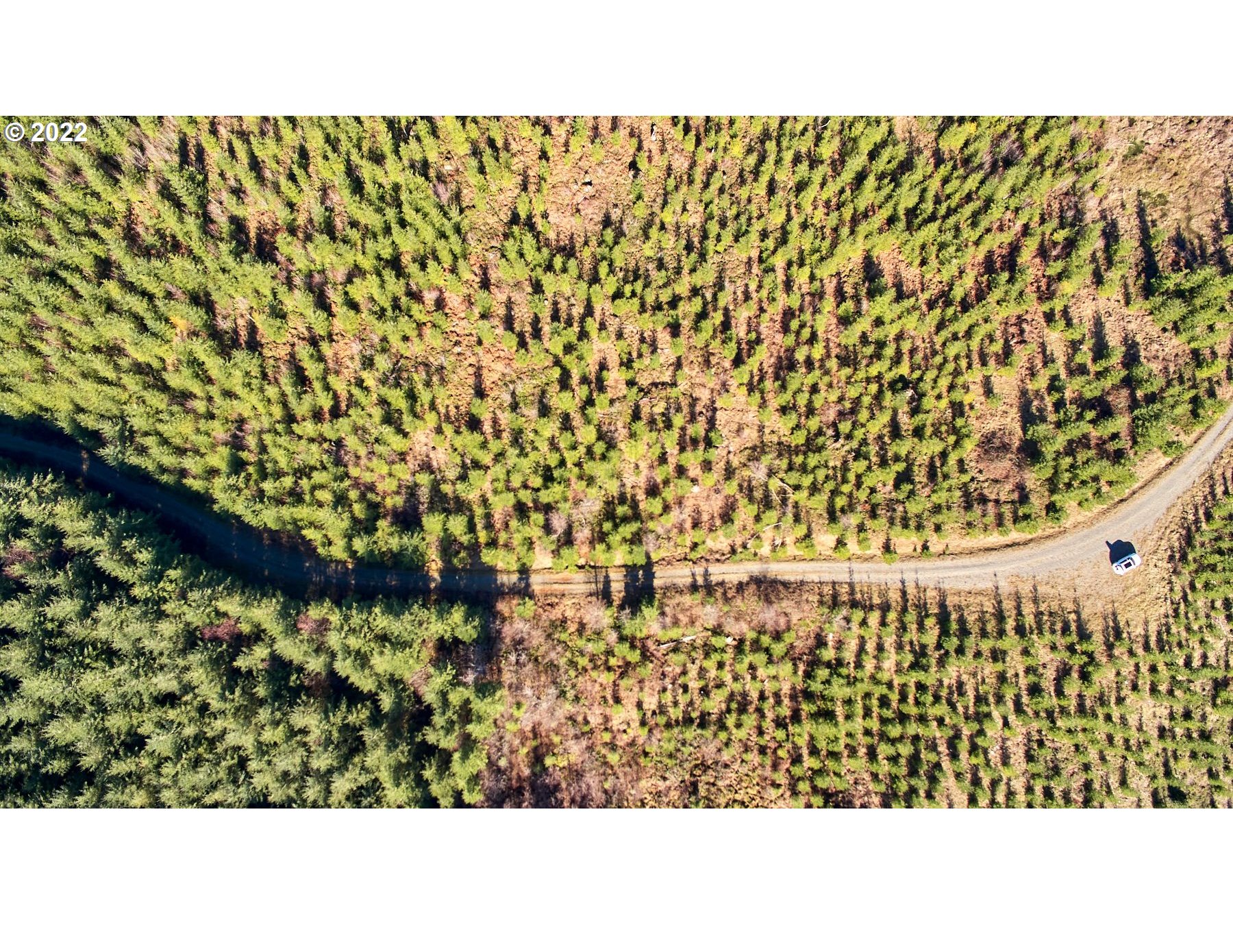 4 Northeast Jones Road Camas, WA 98607 - Photo 10 of 29