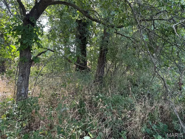 $630,000 | 0 Northeast Ne Corner, Sweet Springs, MO 65351